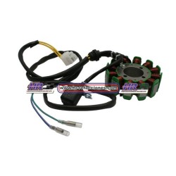 MOTOCICLETAS  ESTATOR 11 BOBINAS CORR  CONTINUA ITALIKA EX200 MASUDA