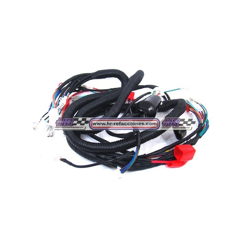 MOTOCICLETAS  ARNES COMPLETO WS150 WS175 BWS125