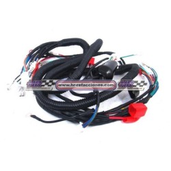 MOTOCICLETAS  ARNES COMPLETO WS150 WS175 BWS125